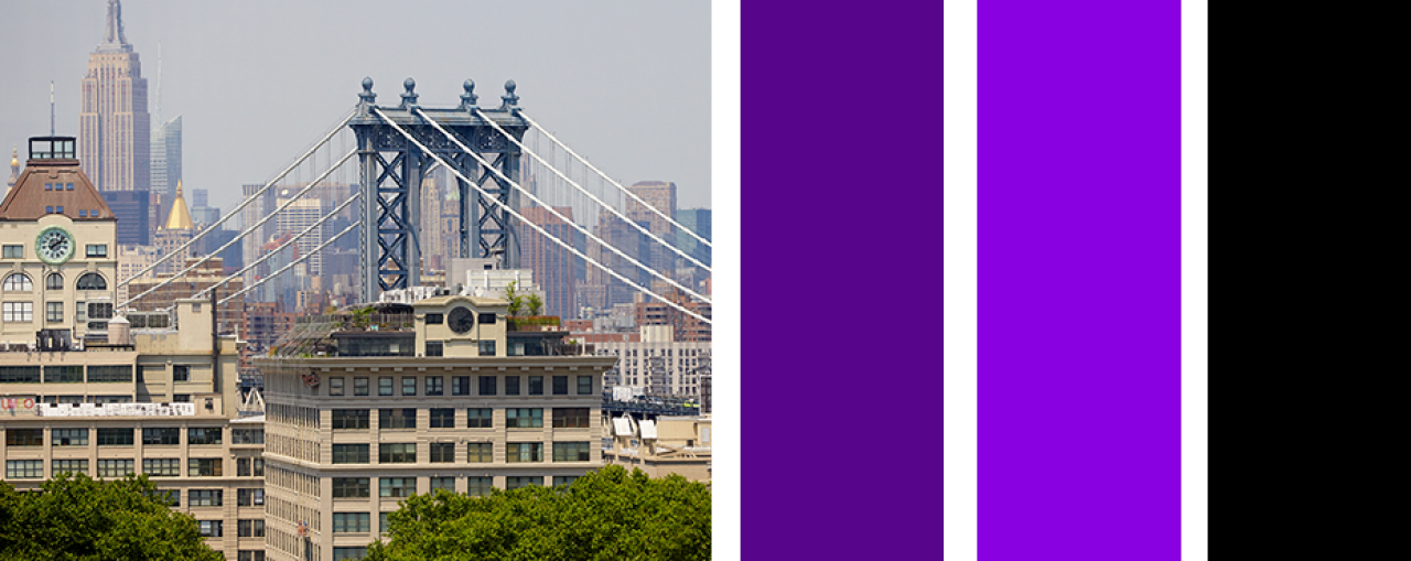 New York University